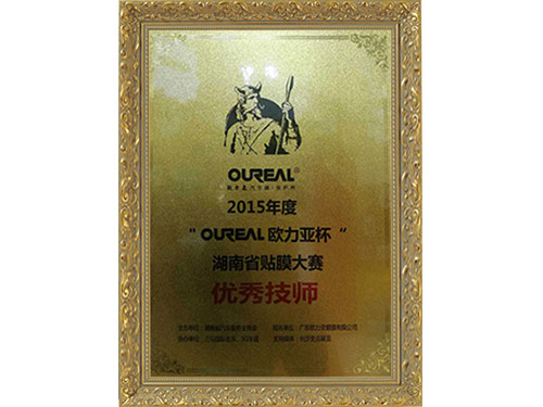 2015年度“OUREAL-欧力亚杯”湖南省贴模大赛优秀技师